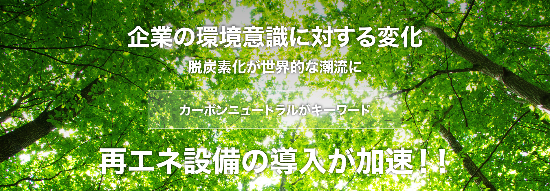 企業の環境意識に対する変化/再エネ設備の導入が加速！！